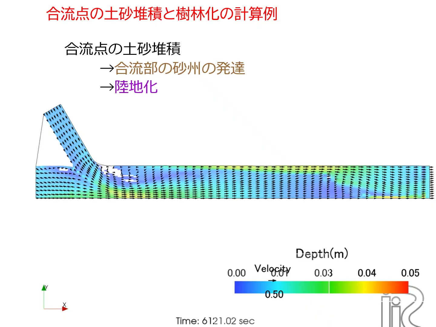 合流点の土砂堆積→砂州の発達→陸地化→樹木の発芽・成長の過程