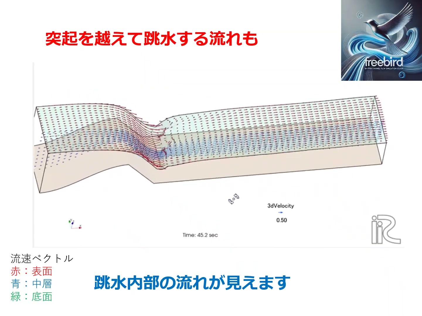 跳水の内部構造解析